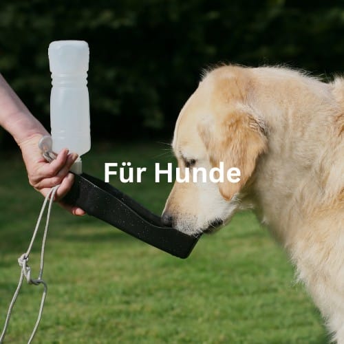 Trinkflasche für Hunde Startseite